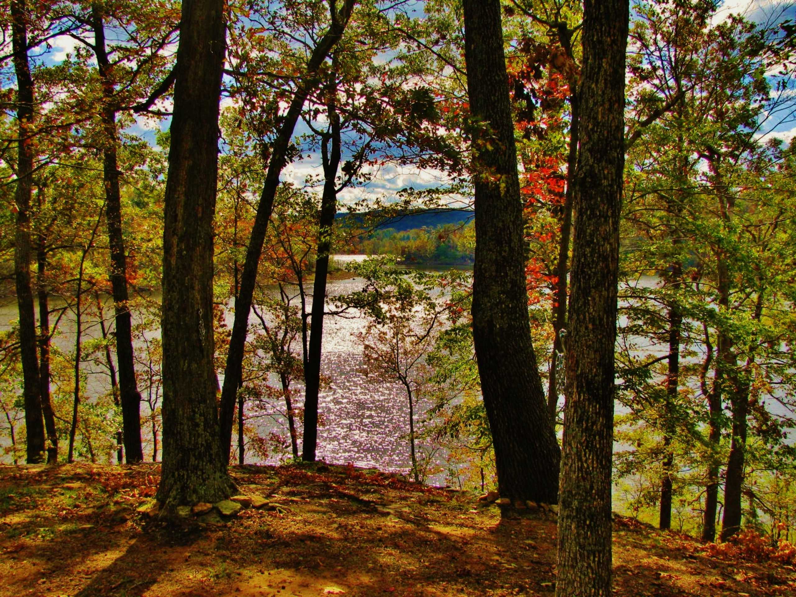 Greater Nolin Lake Realty Group